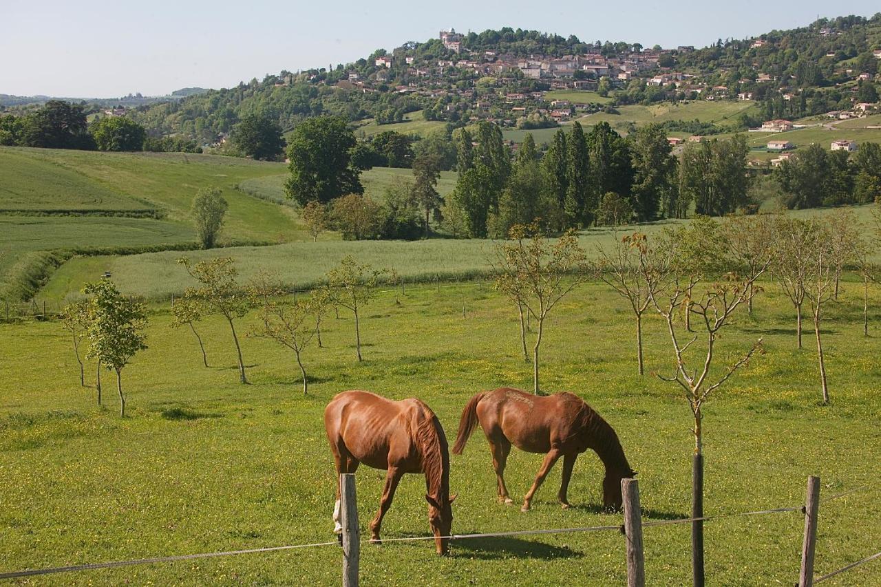 Penne-dʼAgenais Norpechヴィラ エクステリア 写真